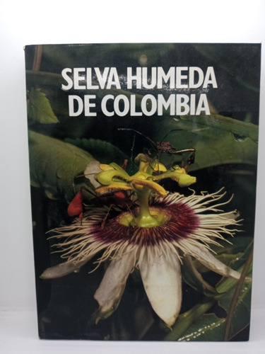 Selva Húmeda De Colombia - Medio Ambiente Colombiano 