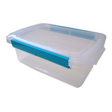 Contenedor N1-plástico C/ Tapa Apto Freezer Apilable Cristal