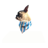 Bandana De Argentina Personalizada Perro Gato