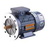 Motor Trifasico Czerweny 1.5 Hp 1500 Rpm Blindado C/ Brida