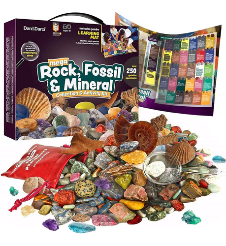 Kit De Actividades Y Colección De Rocas, Fósiles Y Minerales