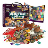 Kit De Actividades Y Colección De Rocas, Fósiles Y Minerales