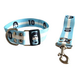 Collar Y Correa Para Perros Argentina Talle M