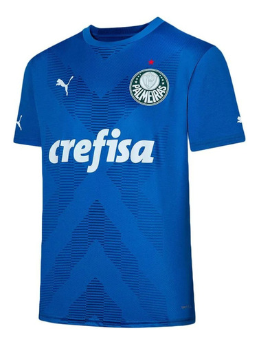 Camisa Puma Palmeiras Goleiro 2023 Of 1 Torcedor