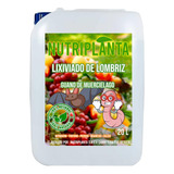 Lixiviado Lombriz + Guano Murcielago 20lts Certificado