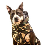 Campera Para Perros Grandes Camuflado Militar * 