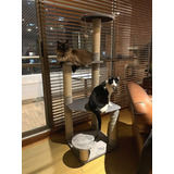 Gimnasio Mueble Para Gatos + 2 Obsequios 