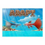 Adapt - El Juego De Cartas Y Dados