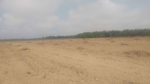 Se Vende Terreno Agrícola De 4.6 Hectáreas, Ubicado En Lurinchincha, Provincia De Chincha. - Imagen 3