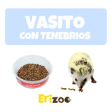 Tenebrios Alimento Vivo Para Erizo, Gecko, Ave Y Más