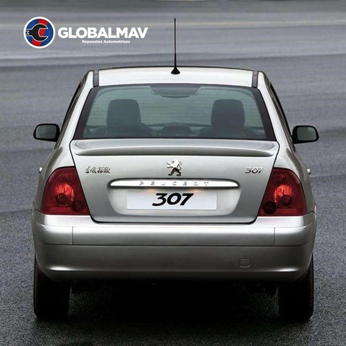 Estopera Trasera De Cigueal Peugeot 307 Motor 2.0 Marca Nok Foto 2