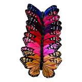 Paquete De 12 Mariposas Decorativas, Colores Surtidos, 13 Cm