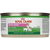 Royal Canin Alimento Perros Starter Mousse 165gr Gestación *