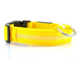 Collar Luz Led Para Mascota Perro/gato En 7 Colores 4 Talles