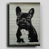 Cuadro Decorativo Canvas Grafiti Perro Bulldog Frances 50*60