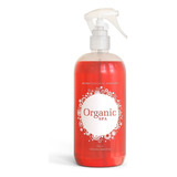 Aromatizador De Ambientes 500ml Manzana Canela Organic Spa