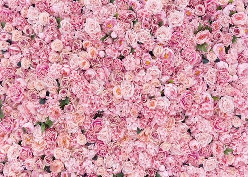 Binqoo 8x6ft Fondo De Flores Rosadas Para El Día De La Madre