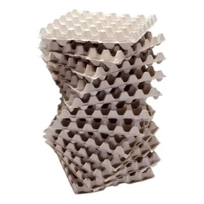 Conos Para Huevo De Cartón 200 Piezas 2 Torres | Envío gratis