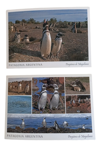 Lote 2 Postales Patagonia Argentina Pingüinos Sin Uso