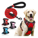 Arnes Collar Perros Grandes Anti Tirones Reflectivo + Correa