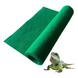 Hamiledyi Blsmu - Alfombra De Reptiles, Forro De Terrario, F