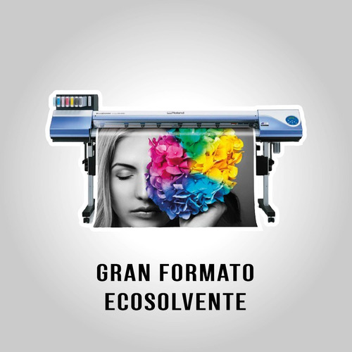 Impresion Al Gremio Vinilo