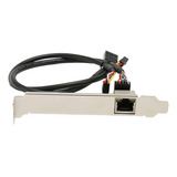 Tarjeta M.2 Pci E Gigabit Ethernet De 1000 Mbps  Color Dorad