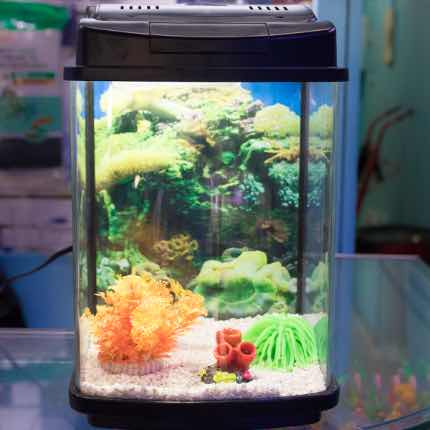 Acuario Importado - Pecera Marca: Dream Aquarium Dm-240