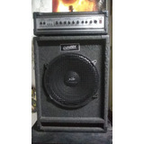 Cabezal De Bajo Wenstone Be 2200h + Caja Con Peavey Pro 15