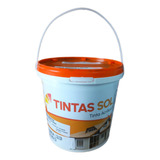 Tinta Acrílica Artesanato Decoração Grafiteiro 4 Und 900ml