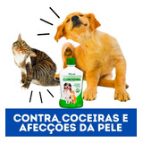 2 Condicionador Shampoo Pet Caes Gatos Clorexidina Seboreia