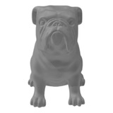 Bulldog Inglês Pet Decoração 3d