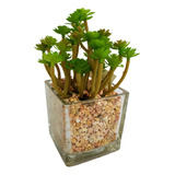 Suculenta Com Vaso Florzinha 18x13cm Planta Artificial