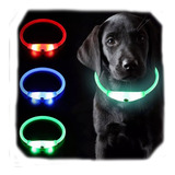 Collares Para Perros Luz Led Recargable Luminoso Mascota