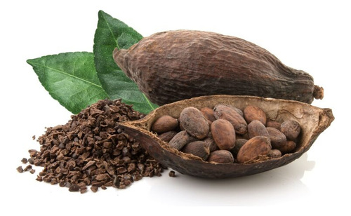 Kit Árbol De Cacao Chocolate To'ak, Vainilla