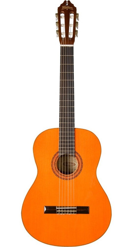 Guitarra Acustica Washburn C5 Technicalshopcl