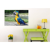 Cuadro 60x90cm Guacamayo Pajaro Aves Loro Selva Colores M1