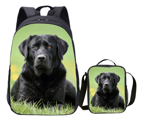 Mochila Escolar Dog Labrador Con Impresión A Color Fijo, 17