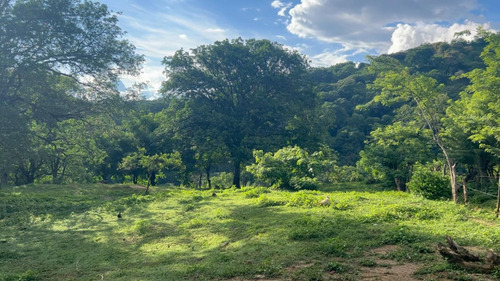 Finca Lote Barata En Venta Precio Oportunidad - Imagen 2
