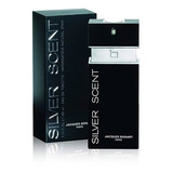 Perfume Silver Scent Masculino 100 Ml - Original E Lacrado