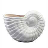 Maceta Decorativa De Cerámica Forma De Caracol De Mar Blanca