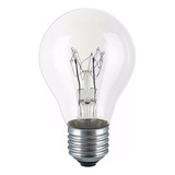 Lâmpada Incandescente Filamento Reforçado 60w 220v E27 10 Pç Cor Da Luz Branco-quente