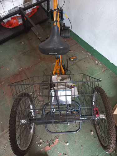 Triciclo A Pedal E Motor Elétrico Adulto
