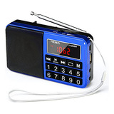 Radio Prunus 429 Pequeña, Am Fm Usb, Altavoz Neodimio