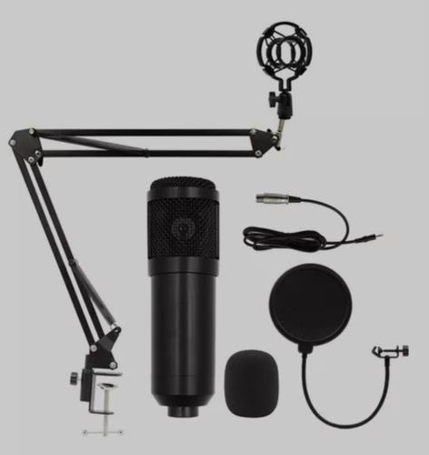 Kit Condenser Microphone + Tarjeta De Sonido 