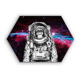 Cuadro Hexagonal Canvas Mono Astronauta 60x90cm