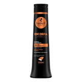 Shampoo Engrossador Encorpa Cabelo 500ml - Haskell