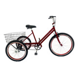 Bicicleta Triciclo Luxo Aro 26 Completo Rebaixado