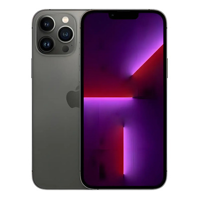 iPhone 13 Pro Max 256 GB grafito - Bueno (Reacondicionado) | Meses sin interés