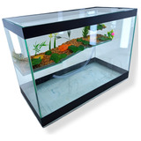 Aquaterrario Para Tartaruga Jabuti Terrario Aquario 50x25x35